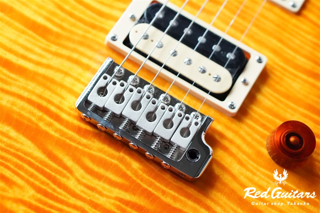 Paul Reed Smith(PRS) SE Custom 24 - VY | Red Guitars Online Store